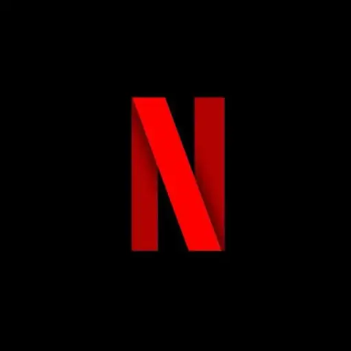 Netflix Subscription